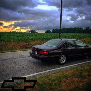 Meet your Posher, Dalton